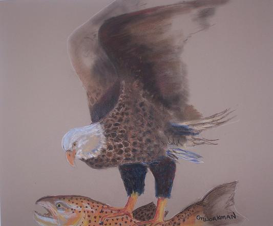 Eagle with trout.JPG